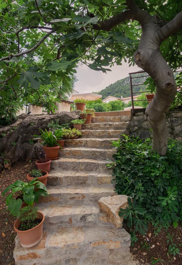 Apartmán Matej Budva Exteriér fotografie
